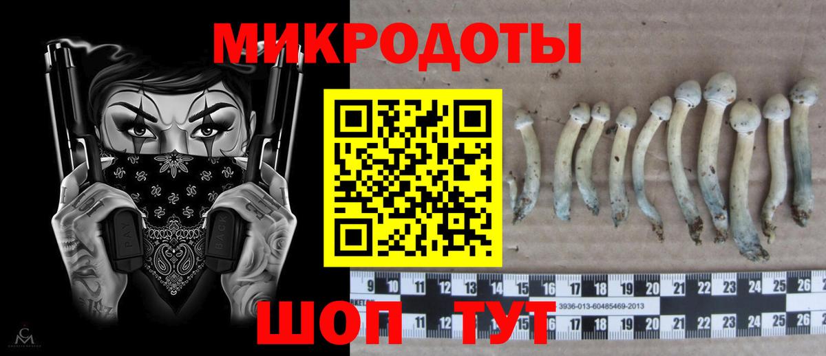 Галлюциногенные грибы GOLDEN TEACHER Клин