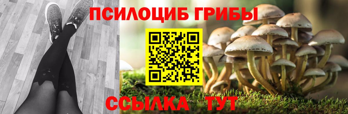 Псилоцибиновые грибы Psilocybine cubensis  Вход с VPN  Клин 