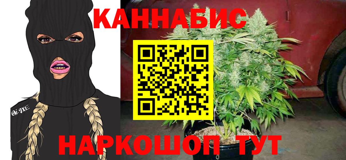 Бошки Шишки сатива Клин
